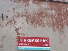 Hayatın Yumrukları